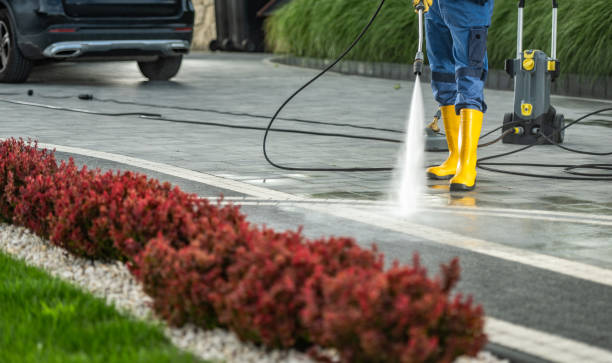 Best Gutter Cleaning and Brightening in Purcell, OK